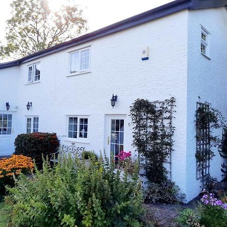 Rhos Y Bel Cottage Angelsey Llangadwaladr  Zewnętrze zdjęcie