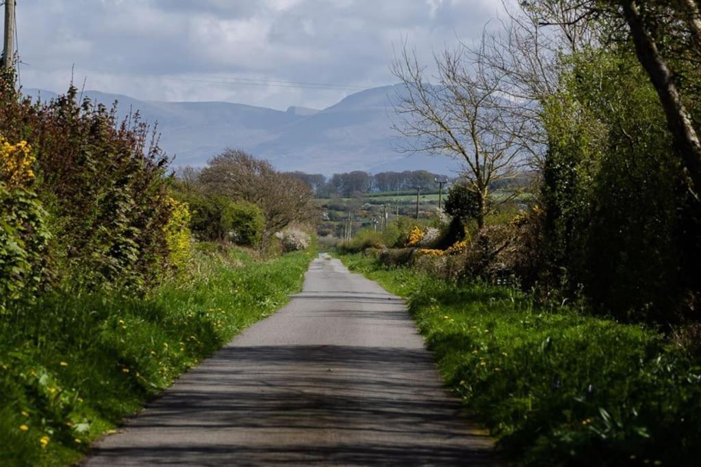 Rhos Y Bel Cottage Angelsey Llangadwaladr  Zewnętrze zdjęcie