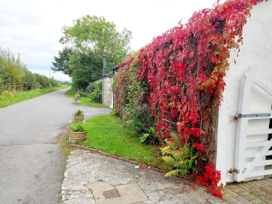 Rhos Y Bel Cottage Angelsey Llangadwaladr  Zewnętrze zdjęcie