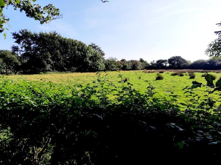 Rhos Y Bel Cottage Angelsey Llangadwaladr  Zewnętrze zdjęcie