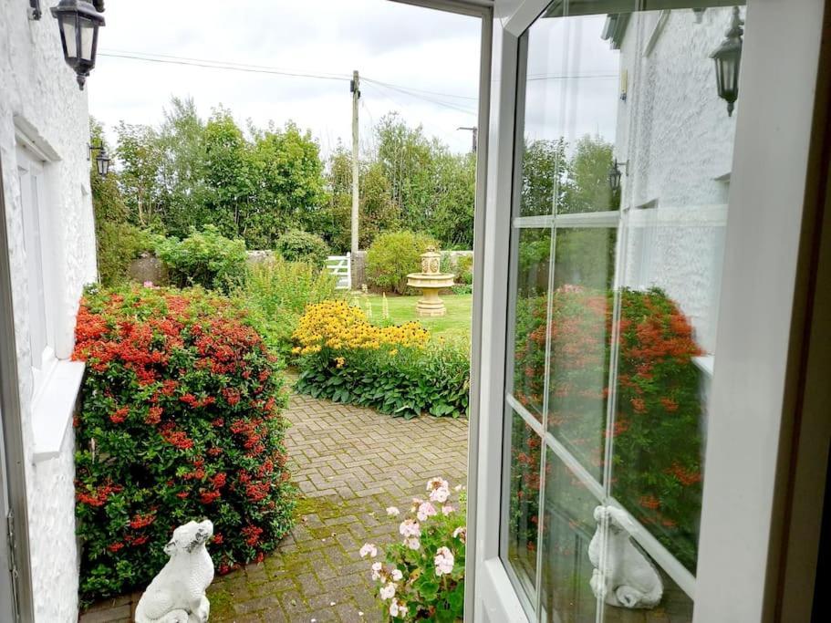 Rhos Y Bel Cottage Angelsey Llangadwaladr  Zewnętrze zdjęcie