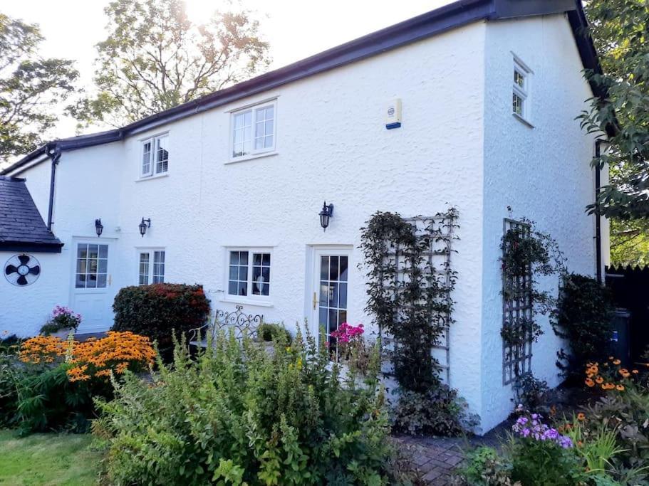 Rhos Y Bel Cottage Angelsey Llangadwaladr  Zewnętrze zdjęcie